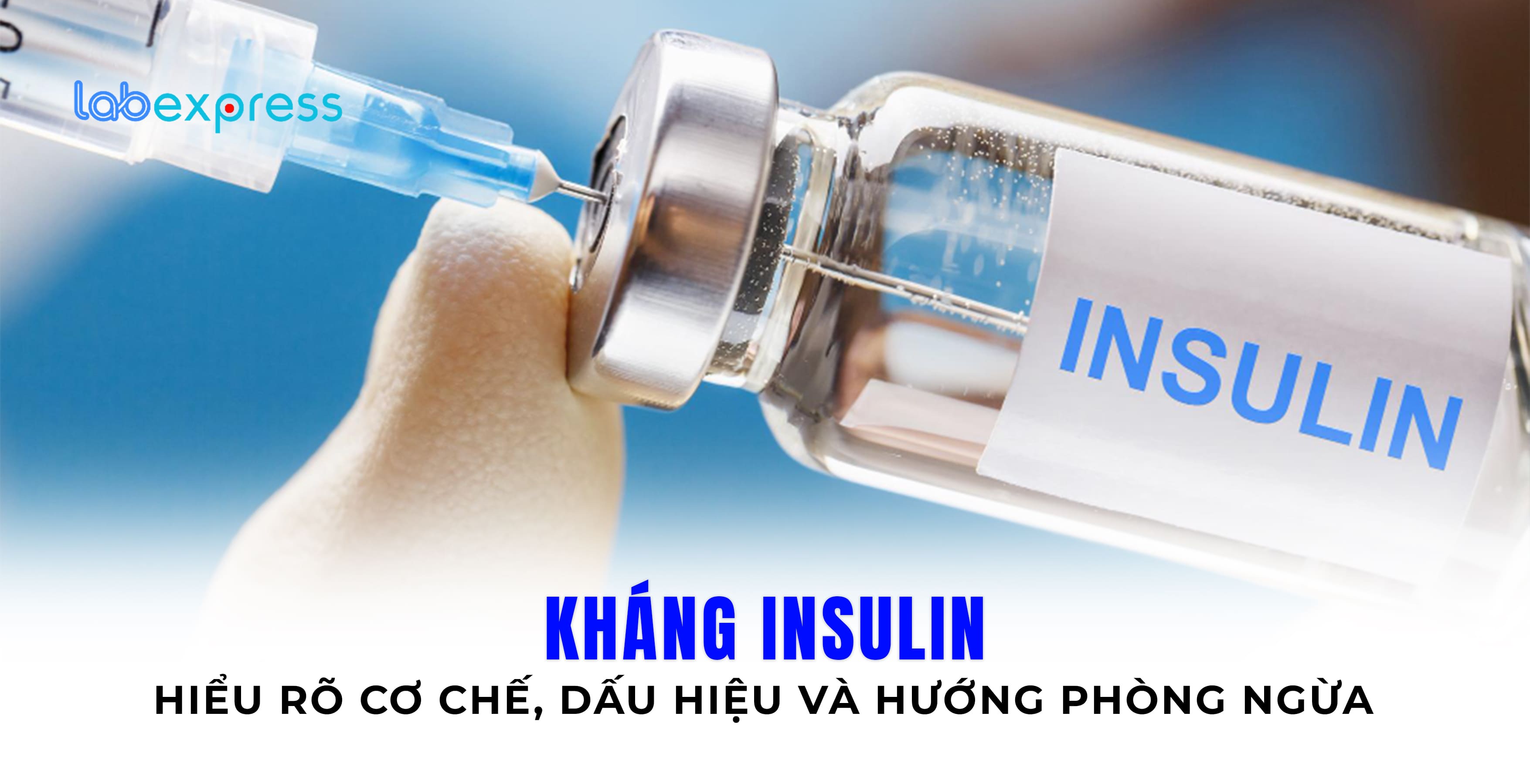 KHÁNG INSULIN: HIỂU RÕ CƠ CHẾ, DẤU HIỆU VÀ HƯỚNG PHÒNG NGỪA